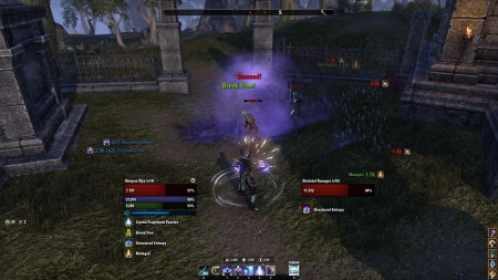 How to eso total raid dmg 2